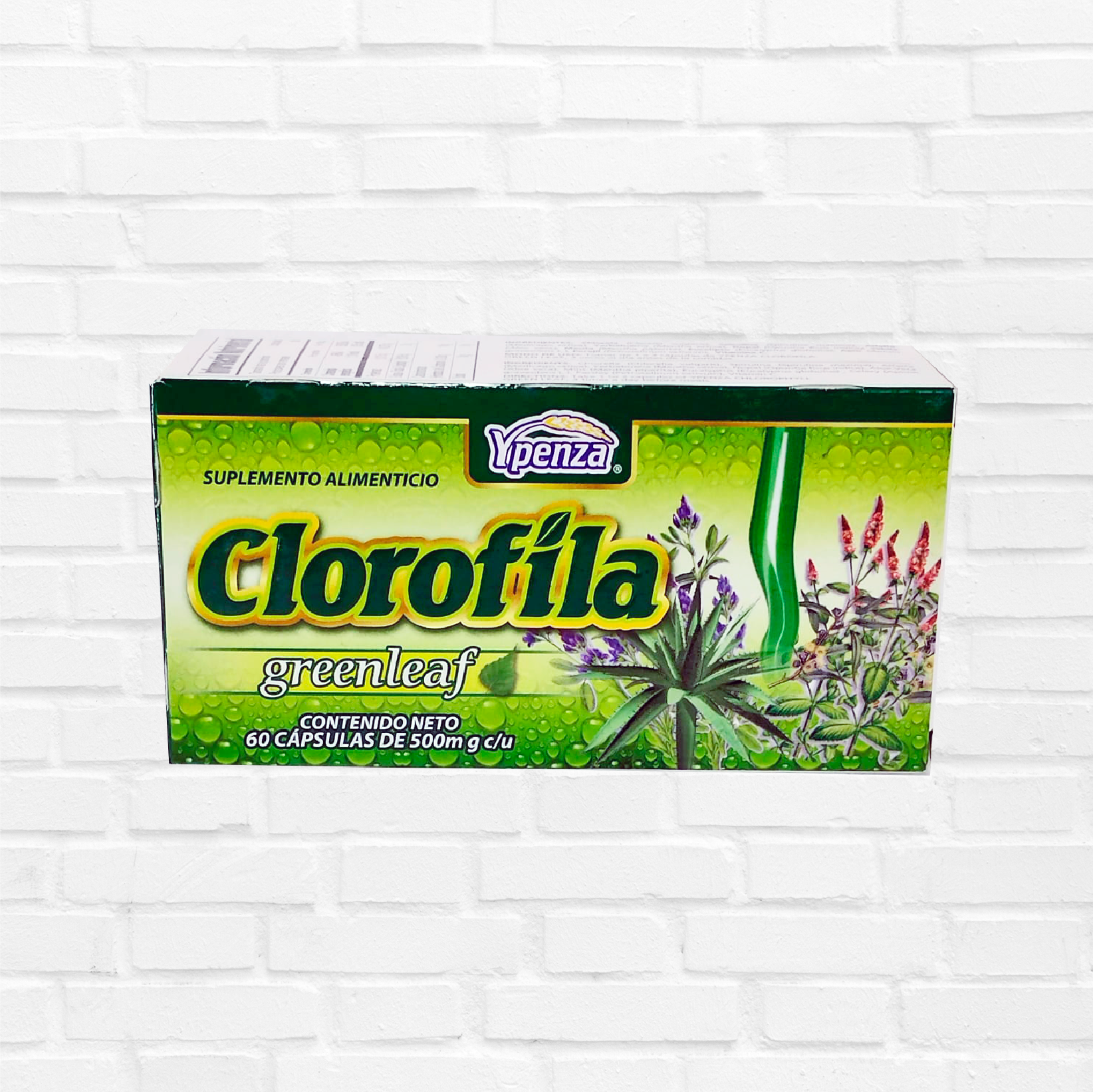 Clorofila Green Leaf 500mg con 60 Cap